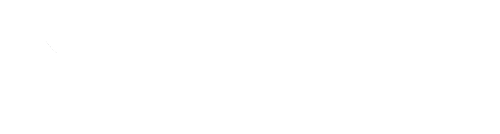Silvertoken Logo